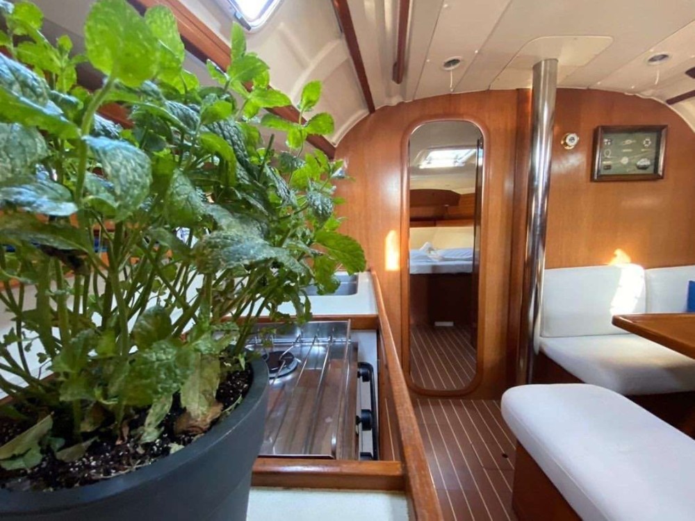 picture from activity Dufour 38,5 Grande